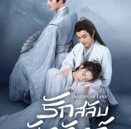 Destiny of Love (2025) รักสลับบัลลังก์ ซับไทย